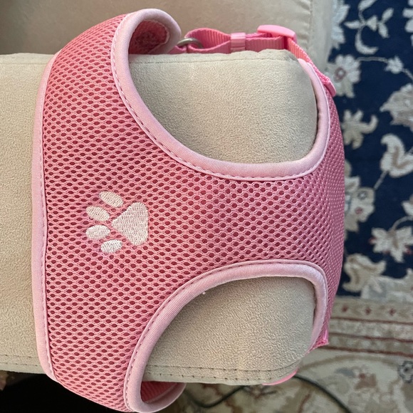 Doggie clothes - Picture 11 of 12